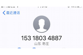 凌源为什么选择专业追讨公司来处理您的债务纠纷？